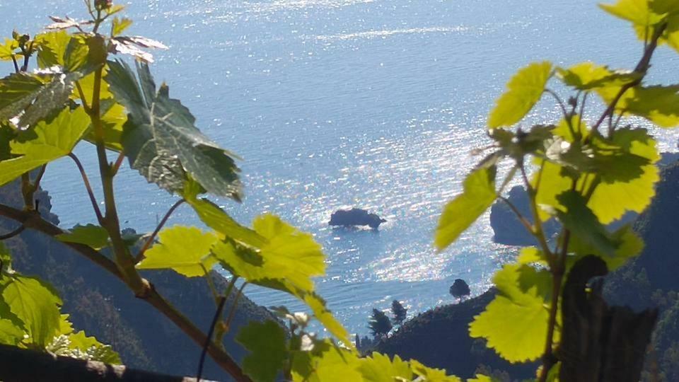 Casa Il Faro Villa Con Piscina Castelmola Exterior foto